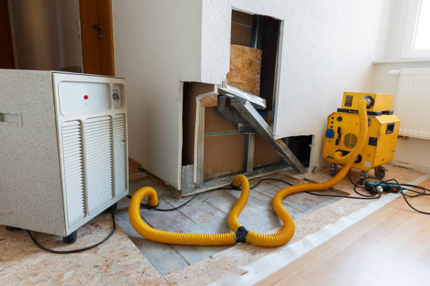 Best Mold Removal for HVAC Installations  in USA